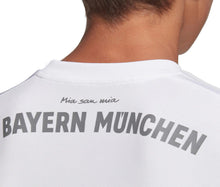 Cargar imagen en el visor de la galería, Jersey Visitante Fc Bayern Para Niño (dx9264)
